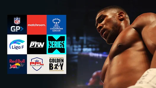 Live sport 247 streaming hot sale
