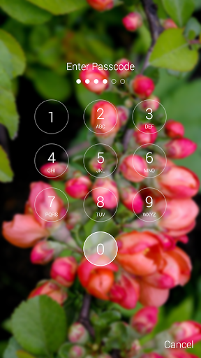 Spring Flowers Lock Screen Screen 2