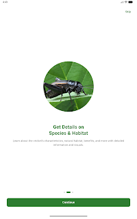 AI Cricket Scanner