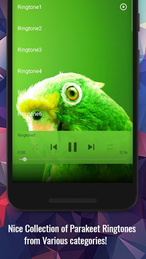 Parakeet Sounds Screen 2