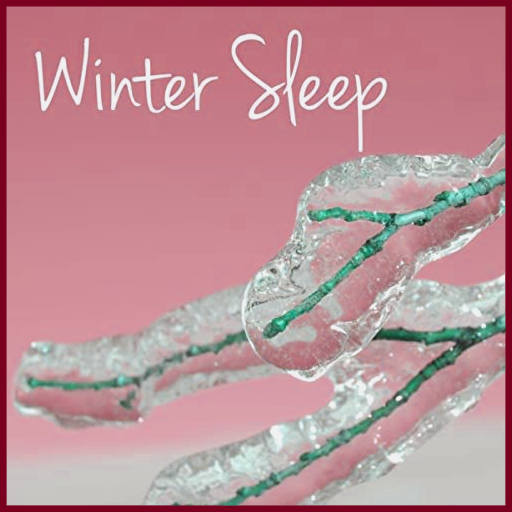 Instrumental Christmas Music logo