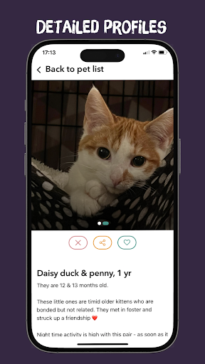 Only Rescues Screen 3