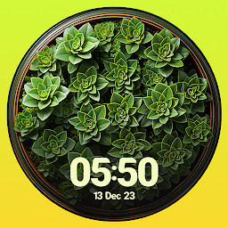 Icon image Succulent & Plants Watch Faces