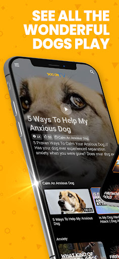 Screenshot of Dog TV