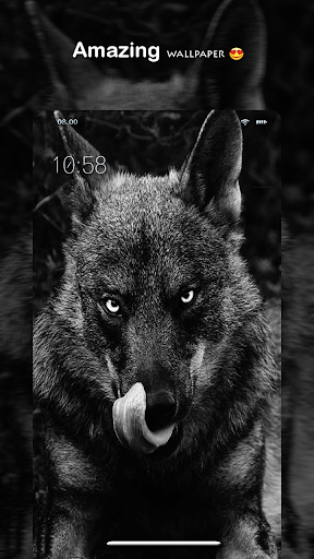 Wolf Wallpaper – HD Wallpaper