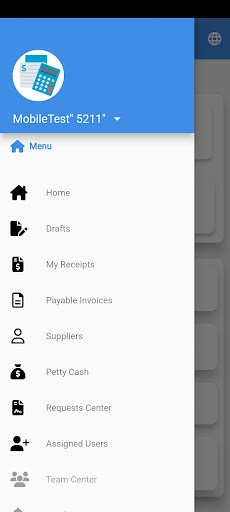 AIP Invoices Screen 3