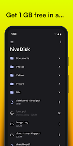 hiveDisk