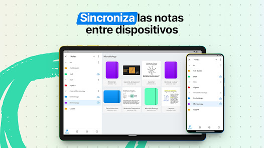Imagen de la captura de pantalla