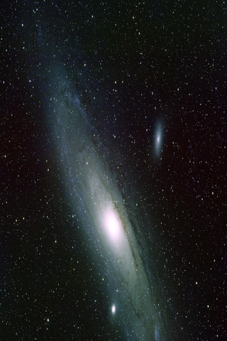 Tilico Corretora de Seguros LTDA