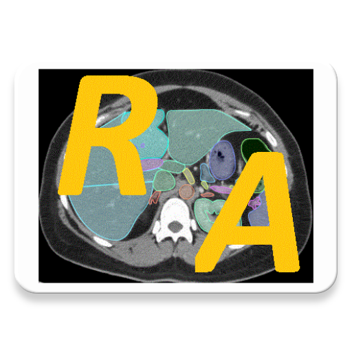 Radiology CT Anatomy  Icon