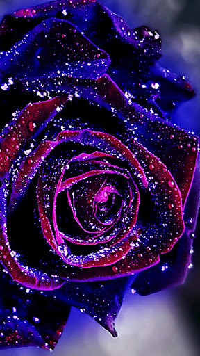 Android application HD Wallpaper screenshort
