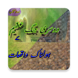 Dusre Jang-e-Azeem Ke Haaulnak Waaqiat (Urdu Book) icon