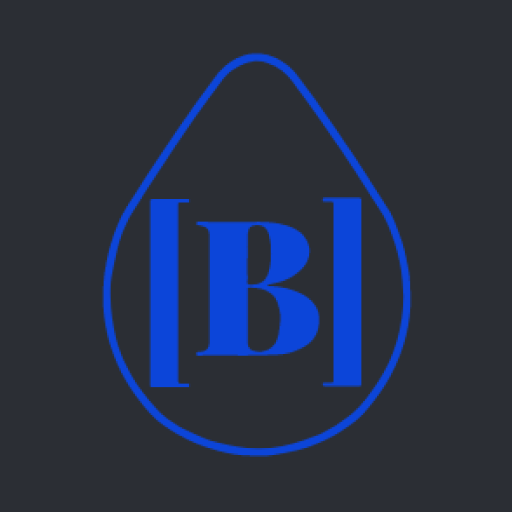 Blueprint Accountability logo
