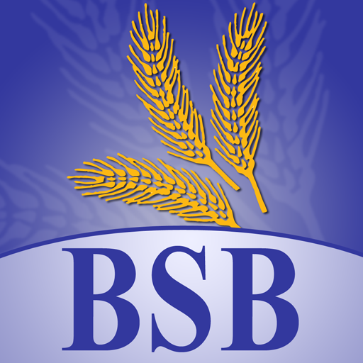 BSB Mobile logo
