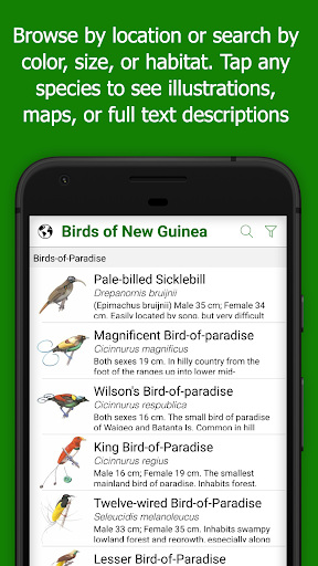 Birds of New Guinea Screen 2