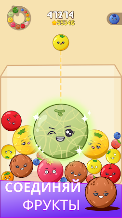 Game screenshot Fruit Merge Blast Puzzle apk download