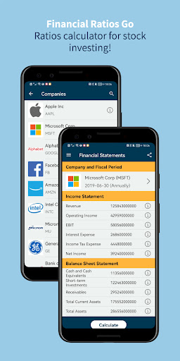 Ratios Go Finance and Investing