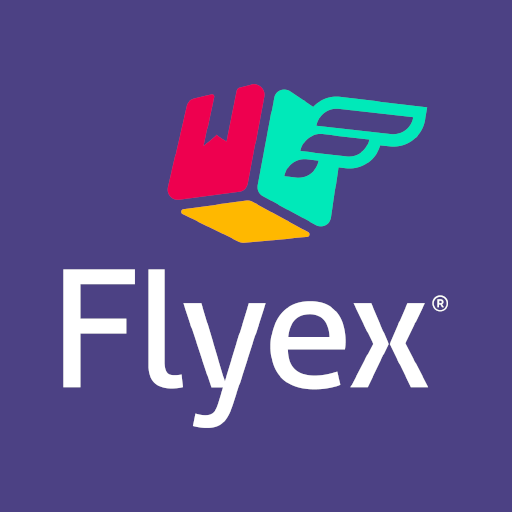 Flyex - Express Kargo logo