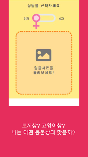얼굴형 테스트 - 동물상 AI Screen 3