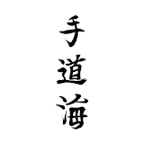 tedokai Karate - Training - Kihon-Generator icon