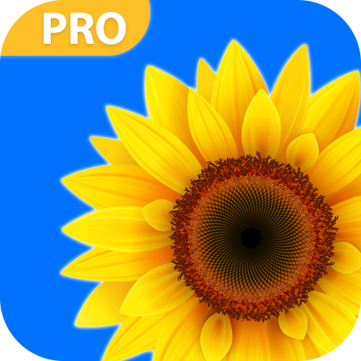 Gallery 2021 Pictures Gallery Gallery Lock Apk 1 0 0 Download Apk Latest Version