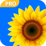 Cover Image of Download Gallery 2021 : Pictures Galler  APK