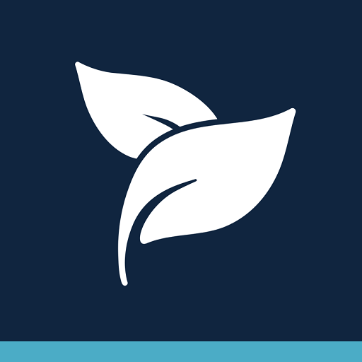 Spa Studio logo