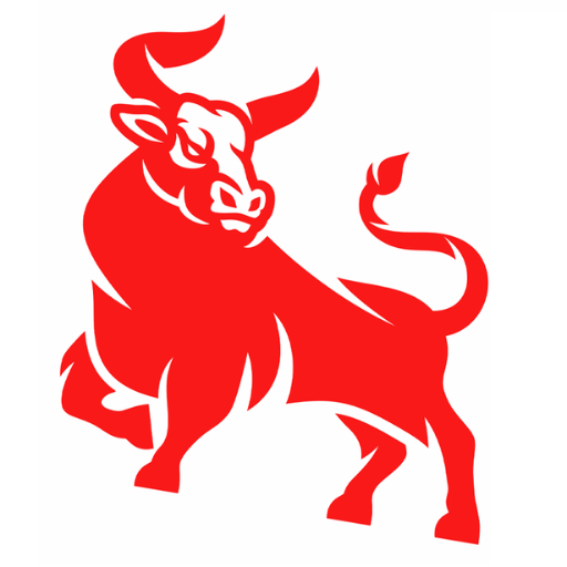 Big Bull Paisewala logo