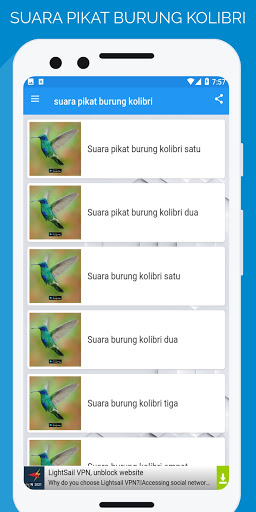 suara pikat burung kolibri Screen 2
