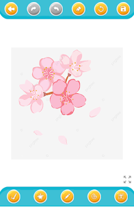 livre coloriage fleur cerisier