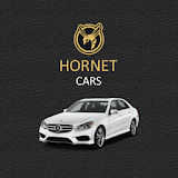 Hornet Cars icon