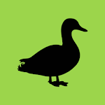 Cover Image of Download Progressive Duck Decoy 0.10.21.1008 APK