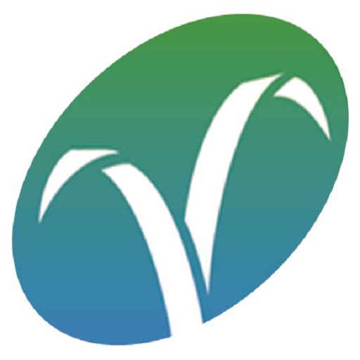 Vilas Bank logo