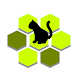 Chat Noir – Hexagon Laai af op Windows