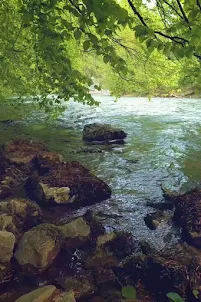 River Video Wallpapers