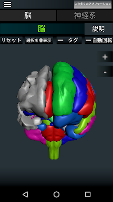 脳と神経系のおすすめ画像1