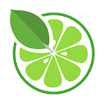 Cover Image of Download MongoLime - MongoDB client  APK