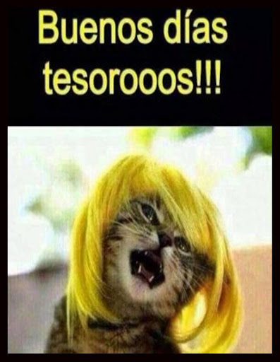 Imagenes Graciosas de Buenos D