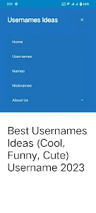 Usernames Ideas