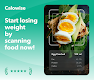 screenshot of Calowise, Easy Calorie Counter