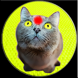 Red Dot For Cat Joke icon