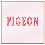 Cover Image of Скачать Pigeon 1.0 APK