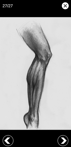 Screenshot of 3D Anatomy for the Artist