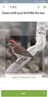 Merlin Bird ID by Cornell Lab