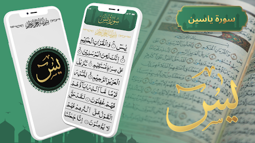 معاينة التطبيق