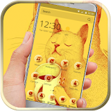 Yellow Cute Cat icon
