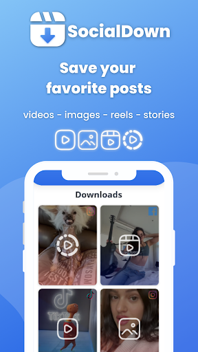 SocialDown no watermark