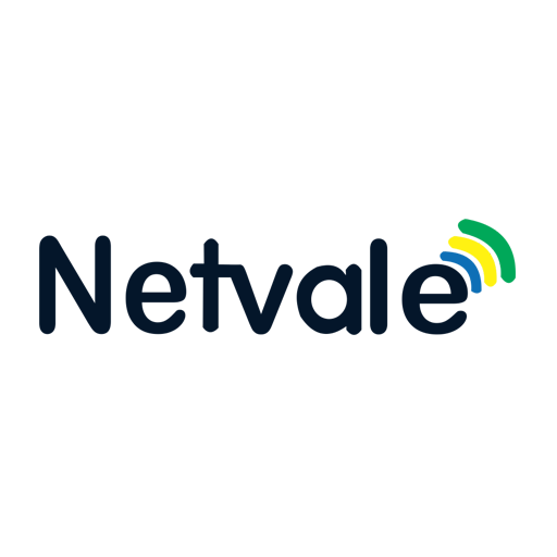 Netvale Internet Solutions logo