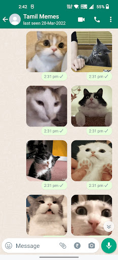 Cat Animated Stickers