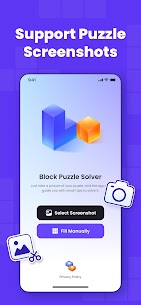 Block Puzzle Solver 3
